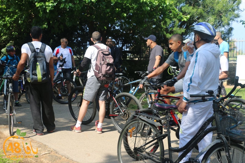 hertslaiaya hai2a (3).jpg